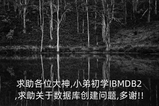 求助各位大神,小弟初學(xué)IBMDB2,求助關(guān)于數(shù)據(jù)庫創(chuàng)建問題,多謝!!