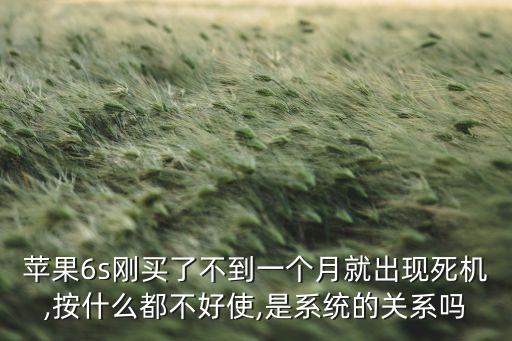 蘋果6s剛買了不到一個月就出現(xiàn)死機(jī),按什么都不好使,是系統(tǒng)的關(guān)系嗎