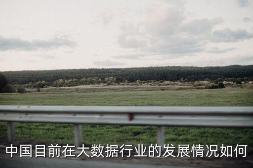 中國(guó)目前在大數(shù)據(jù)行業(yè)的發(fā)展情況如何