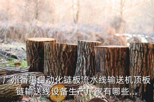 廣州番禺自動化鏈板流水線輸送機頂板鏈輸送線設備生產廠家有哪些...
