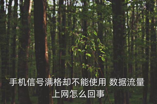 為什么無法用數據上網,手機為什么不能用數據上網