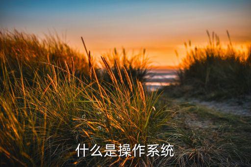 數(shù)據(jù)服務(wù)器操作系統(tǒng),什么是服務(wù)器操作系統(tǒng)?