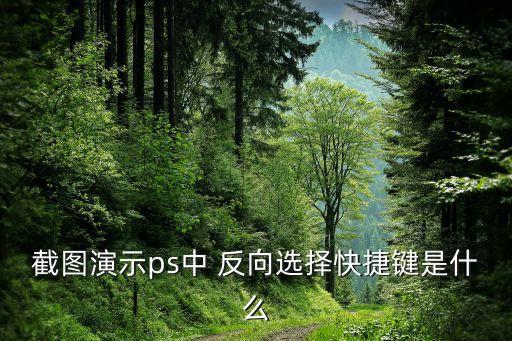 反向