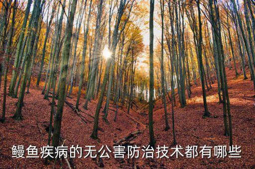 鰻魚疾病的無公害防治技術(shù)都有哪些