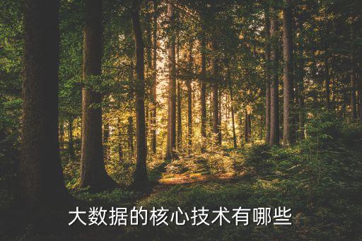 大數(shù)據(jù)的核心技術有哪些