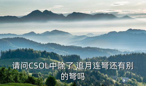 追月連弩,只有追月連弩沒(méi)有其他武器?