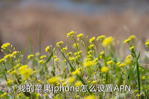我的蘋果iphone怎么設(shè)置APN