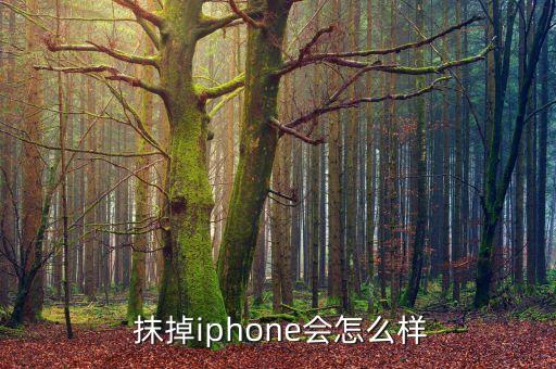  抹掉iphone會怎么樣