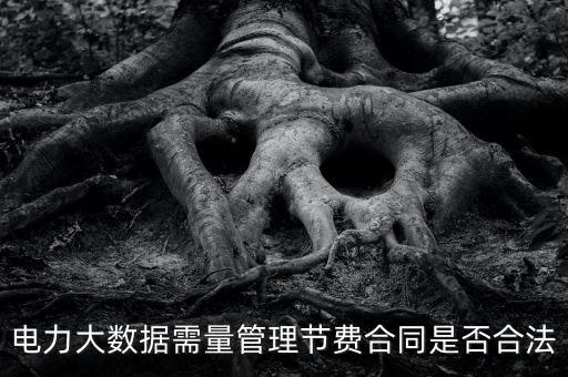 電力大數(shù)據(jù)需量管理節(jié)費(fèi)合同是否合法