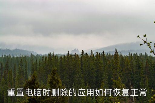 重置電腦時(shí)刪除的應(yīng)用如何恢復(fù)正常