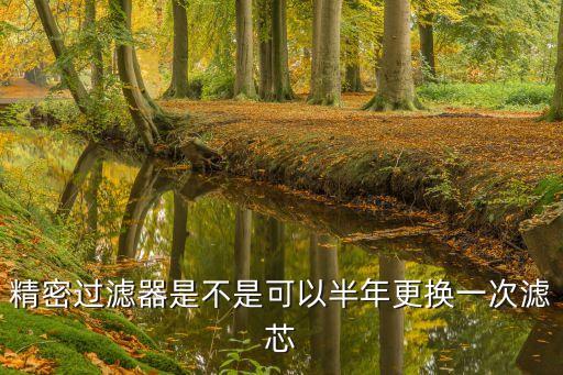 精密過濾器是不是可以半年更換一次濾芯