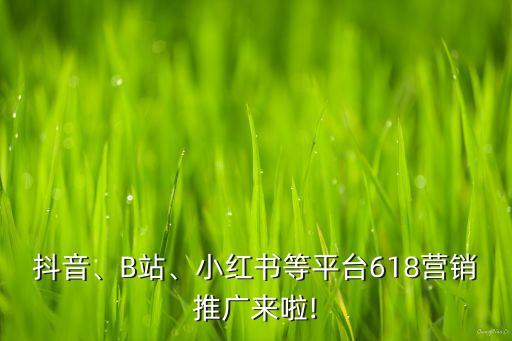 活躍社交平臺數(shù)據(jù)對比,比達咨詢報告:社交媒體平臺流量最大