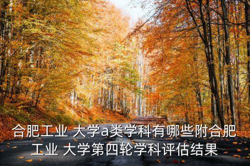 合肥工業(yè) 大學(xué)a類(lèi)學(xué)科有哪些附合肥工業(yè) 大學(xué)第四輪學(xué)科評(píng)估結(jié)果