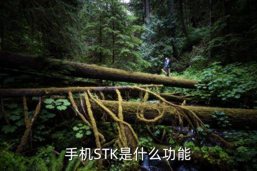 手機(jī)銀行 用戶數(shù)據(jù),如何導(dǎo)出建行手機(jī)銀行明細(xì)資料