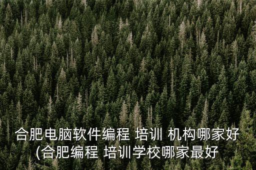 合肥電腦軟件編程 培訓 機構哪家好(合肥編程 培訓學校哪家最好