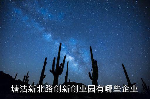 塘沽新北路創(chuàng)新創(chuàng)業(yè)園有哪些企業(yè)