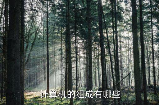 計算機由什么組成,馮諾依曼體系結(jié)構(gòu)計算機由什么組成