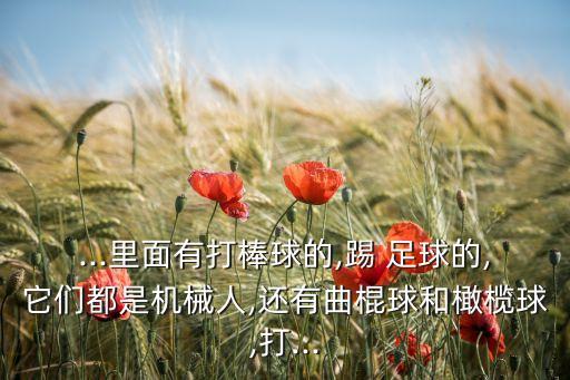 半足球機(jī)器人擊球裝置,足球機(jī)器人彈射裝置