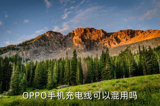 oppo數(shù)據(jù)線通用嗎,手機(jī)數(shù)據(jù)線不能通用怎么辦?