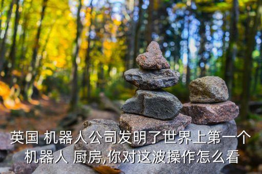 優(yōu)質(zhì)的廚房機(jī)器人,下廚房機(jī)器人恐怖夜晚