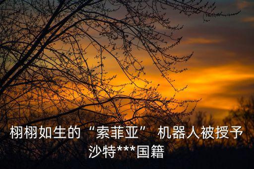 栩栩如生的“索菲亞” 機(jī)器人被授予沙特***國籍