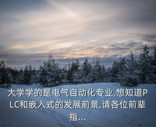 電氣自動(dòng)化有嵌入式嗎,電氣自動(dòng)化和嵌入式哪個(gè)更有錢途?