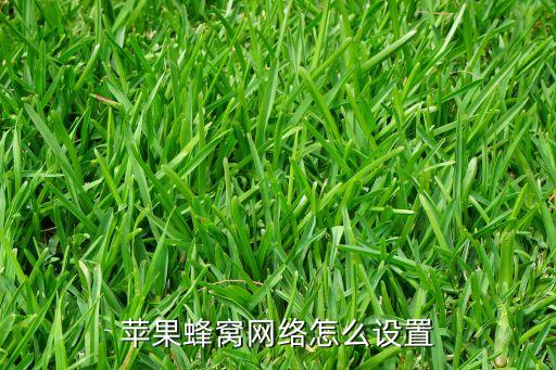 蘋果程序使用移動(dòng)數(shù)據(jù),蘋果手機(jī)怎么開網(wǎng)絡(luò)數(shù)據(jù)?解決問(wèn)題