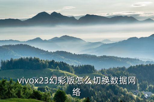 vivox23幻彩版怎么切換數(shù)據(jù)網(wǎng)絡(luò)