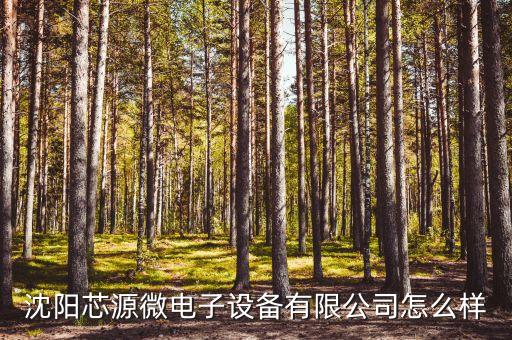 沈陽芯源微電子設(shè)備有限公司怎么樣