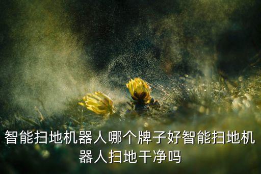 智能掃地機(jī)器人哪個(gè)牌子好智能掃地機(jī)器人掃地干凈嗎