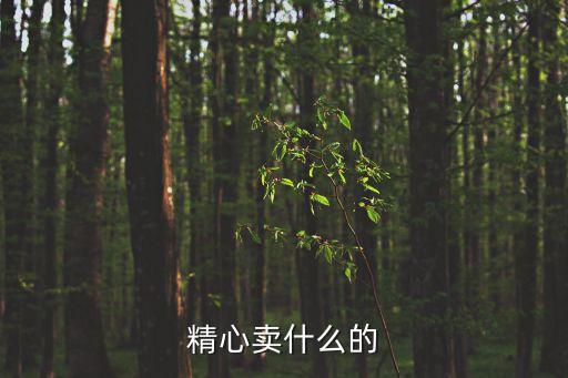 精心賣什么的