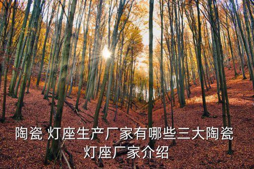 陶瓷 燈座生產(chǎn)廠家有哪些三大陶瓷 燈座廠家介紹