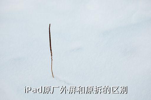 ipad拆屏自動化設備,如何分屏使用?