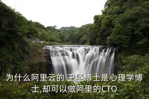 王堅(jiān),宋朝釣魚(yú)城守將王堅(jiān)是怎么一回事?