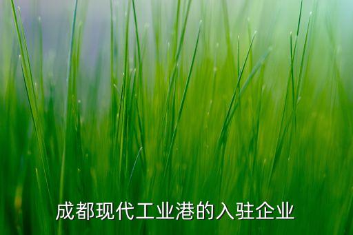 成都現(xiàn)代工業(yè)港的入駐企業(yè)