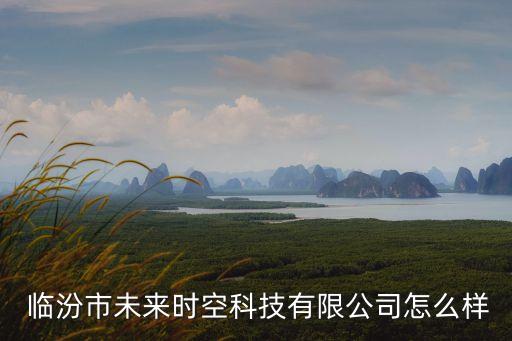  臨汾市未來時空科技有限公司怎么樣