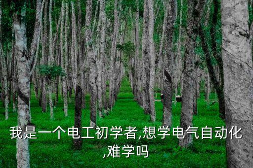 我是一個電工初學者,想學電氣自動化,難學嗎