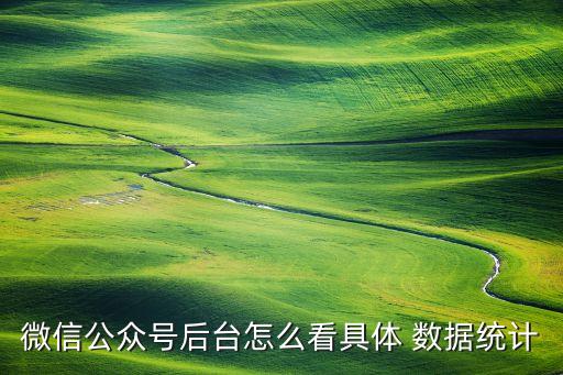 圖文分析數(shù)據(jù)接口