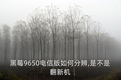 黑莓9650電信版如何分辨,是不是翻新機(jī)