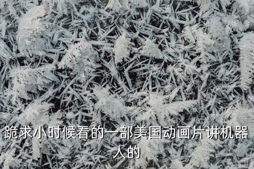 跪求小時候看的一部美國動畫片講機器人的