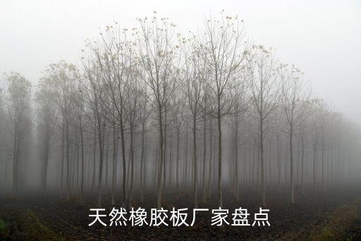 天然橡膠板廠家盤點