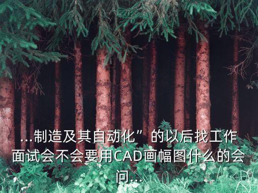...制造及其自動(dòng)化”的以后找工作面試會不會要用CAD畫幅圖什么的會問...