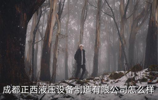 成都正西液壓設(shè)備制造有限公司怎么樣