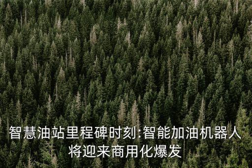 自動化注油設備廠家,智能倉儲的自動化設備廠家