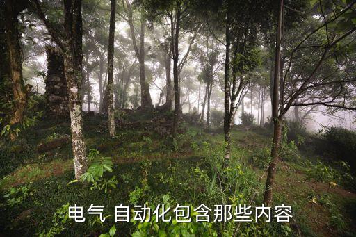 自動化電氣控制系統(tǒng)有哪些,化工自動化控制系統(tǒng)有哪些