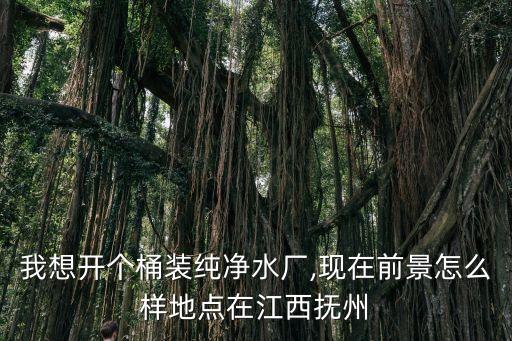 我想開個桶裝純凈水廠,現(xiàn)在前景怎么樣地點在江西撫州