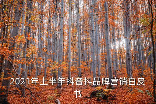 2021年上半年抖音抖品牌營(yíng)銷白皮書