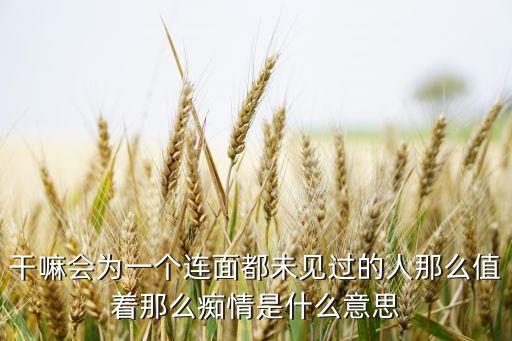 干嘛會為一個連面都未見過的人那么值著那么癡情是什么意思