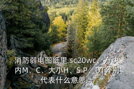 消防弱電圖紙里 sc20wc、方塊內(nèi)M、C、大小H、S P、DT分別代表什么意思...