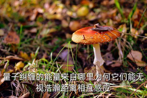 量子糾纏的能量來(lái)自哪里為何它們能無(wú)視浩瀚距離相互感應(yīng)
